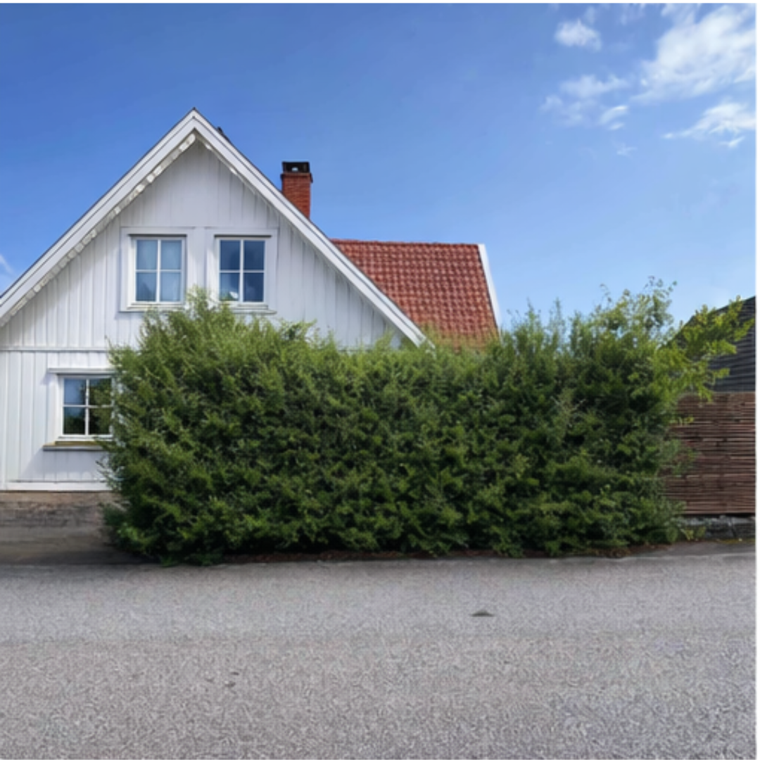 Snabb fix – före