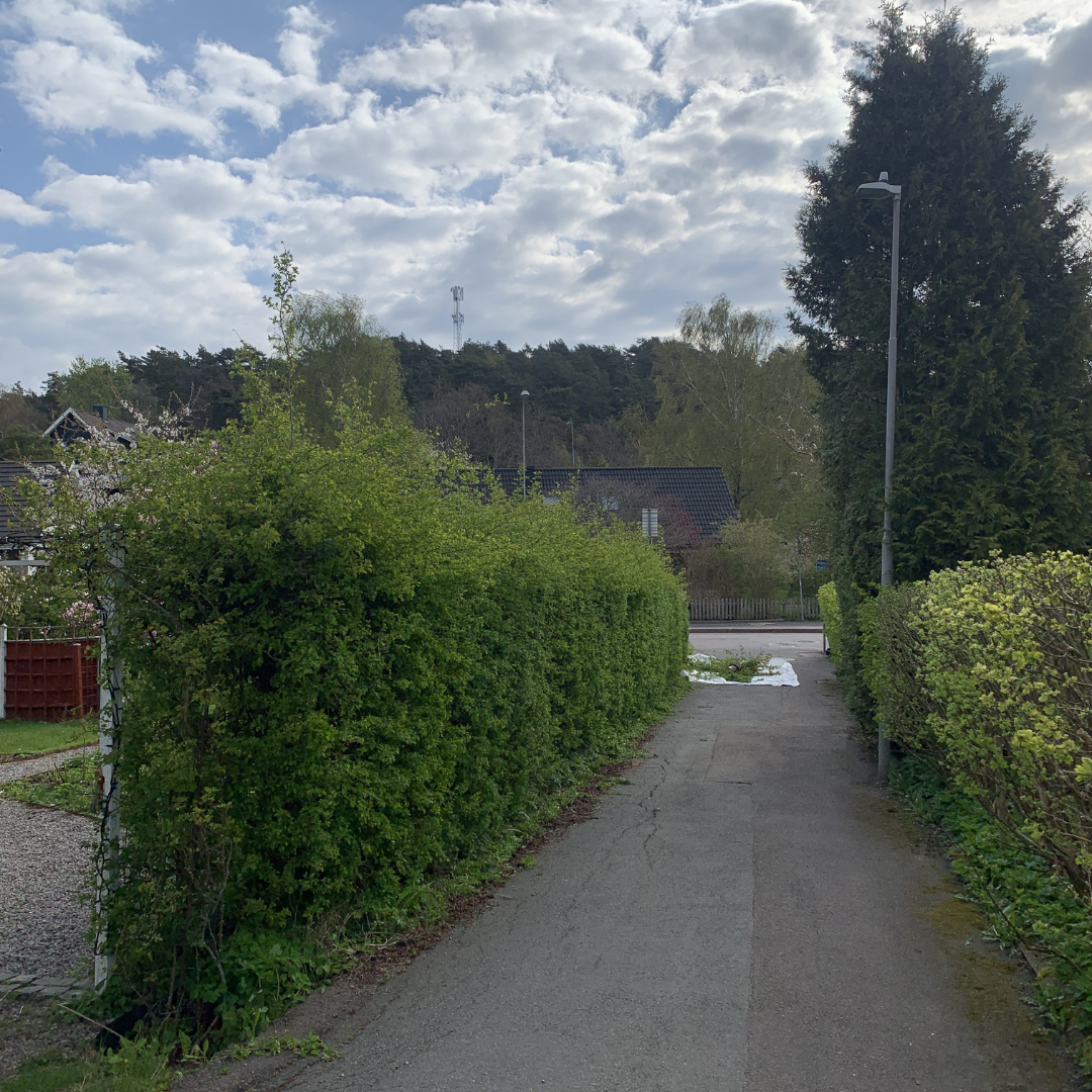 Halvdag – före